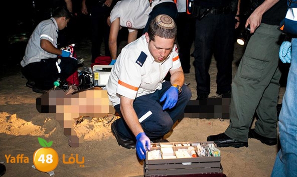 3aregmontreeh520 (5).jpg